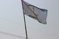 Lira-0004