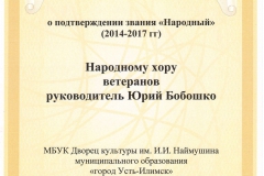 документ-подтверждение Народный