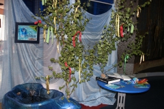 IMG_1824_новый размер