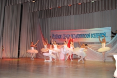 IMG_1847_новый размер