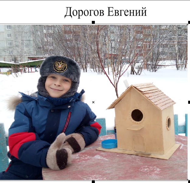 21. Дорогов Евгений