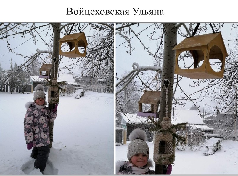 28. Войцеховская Ульяна