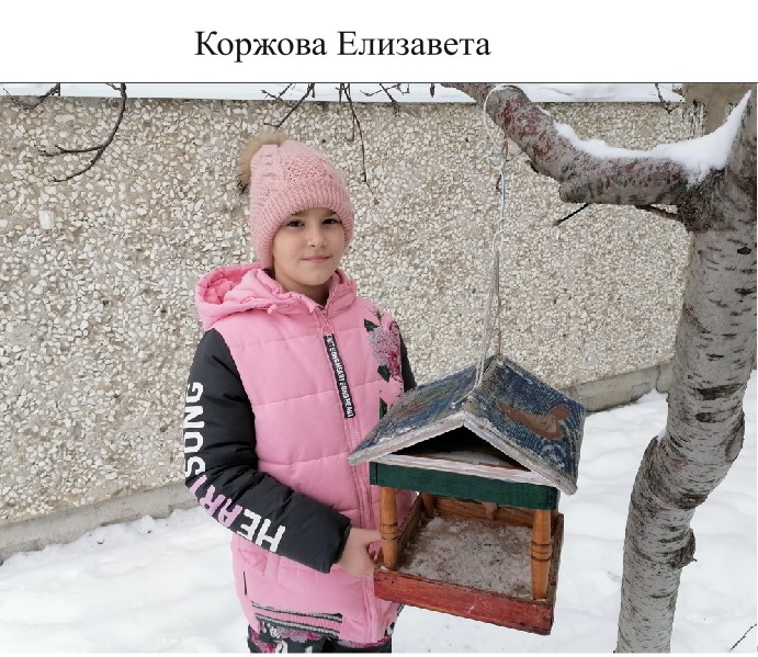 39. Коржова Елизавета