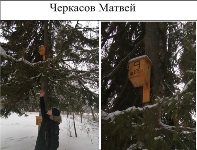 43. Черкасов Матвей