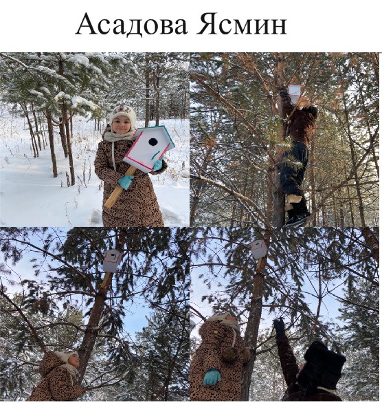 61. Асадова Ясмин