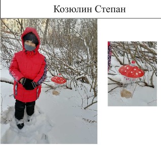 63. Козюлин Степан