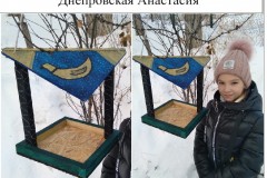 07. Днепровская Анастасия