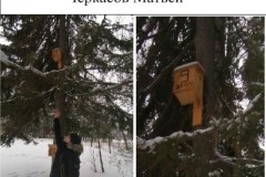 43. Черкасов Матвей