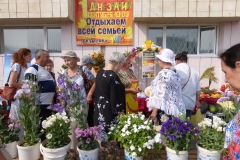 урожай3